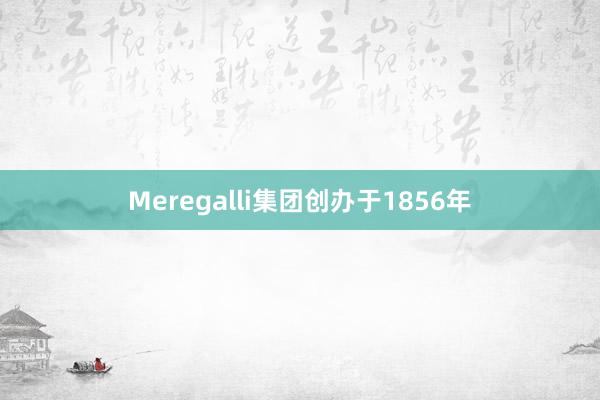 Meregalli集团创办于1856年
